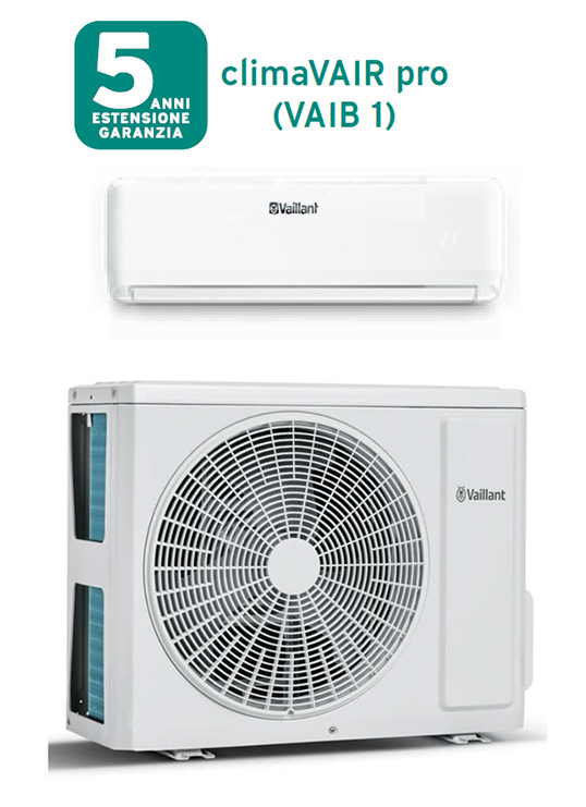 vaib1-B